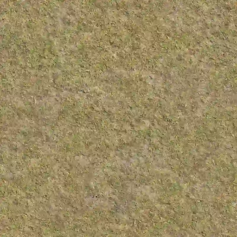 4k Natural Grass Field Seamless Texture for Architectural and Landscape 3D Visualizations