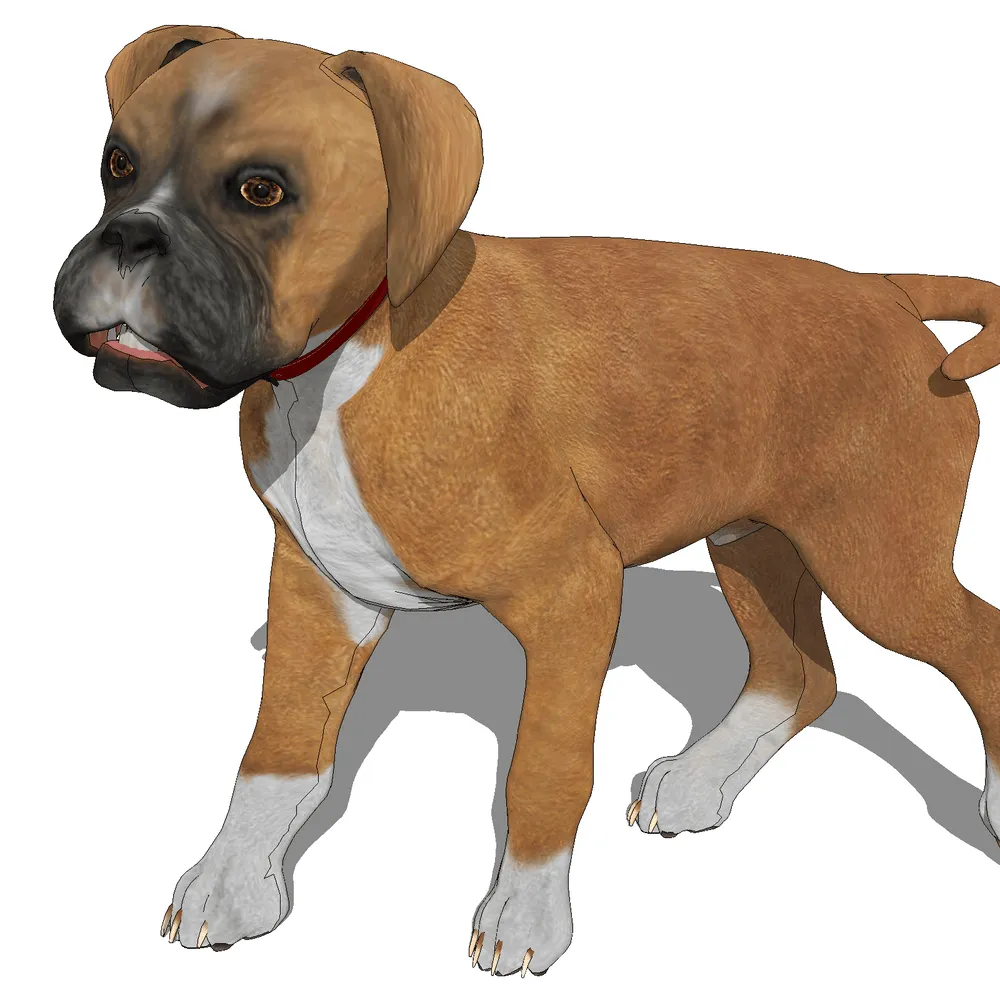 Realistic 3D render of a boxer dog with detailed fur textures, red collar, and dynamic stance, optimized for SketchUp interior design projects