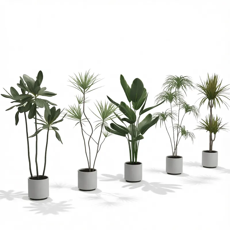 建築ビジュアライゼーション向け、多様な葉構造と白陶器ポットを特徴とする現代的な観葉植物コレクションの写実的3Dレンダリング