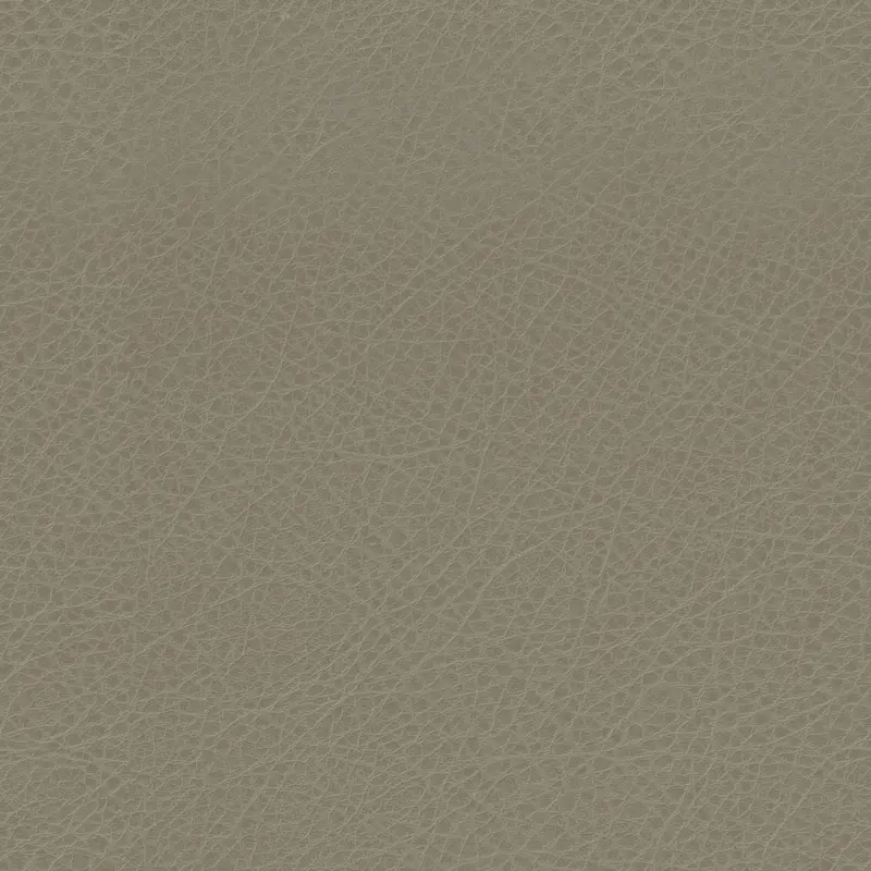 Leather Skin Surface Texture 4k for Realistic 3D Rendering