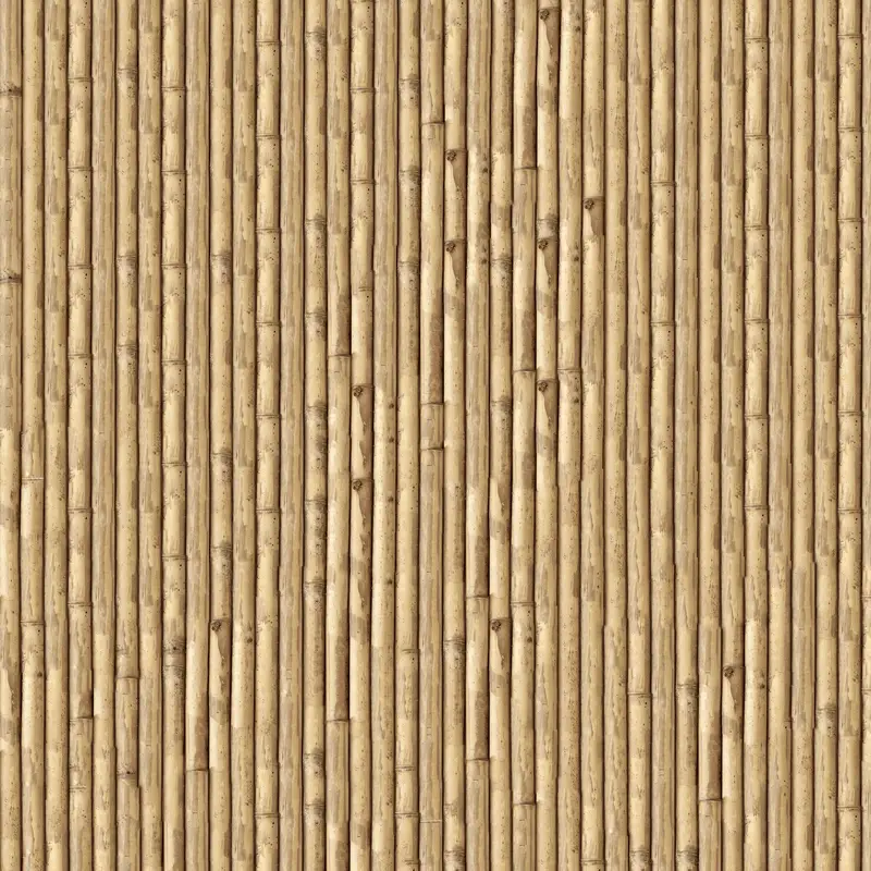 Light Yellow Bamboo Fence Texture_531