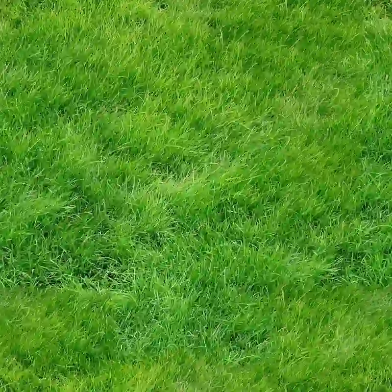 Lush Green Grass Seamless 4k Texture for Architectural Visualization and 3D Landscaping