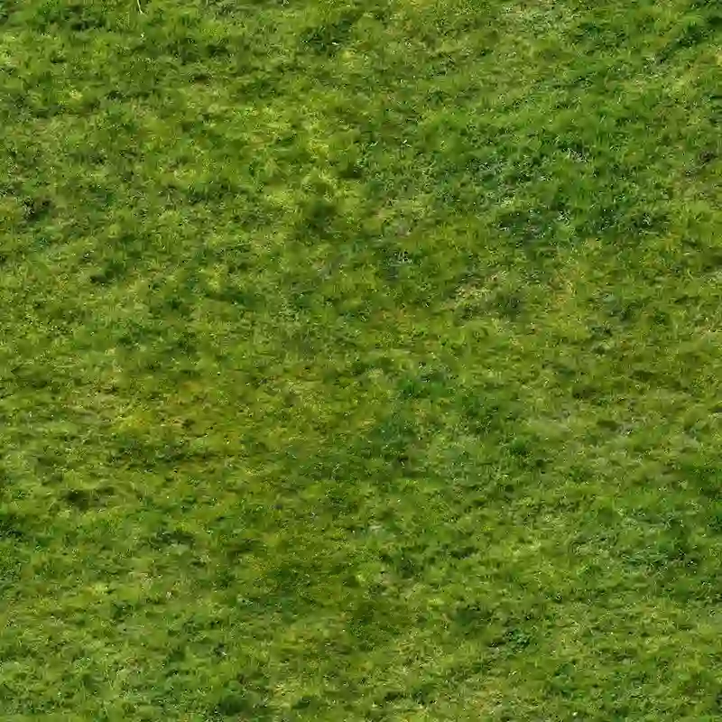 Lush Green Grass Seamless Texture 4k for Architectural Visualization and 3D Landscaping