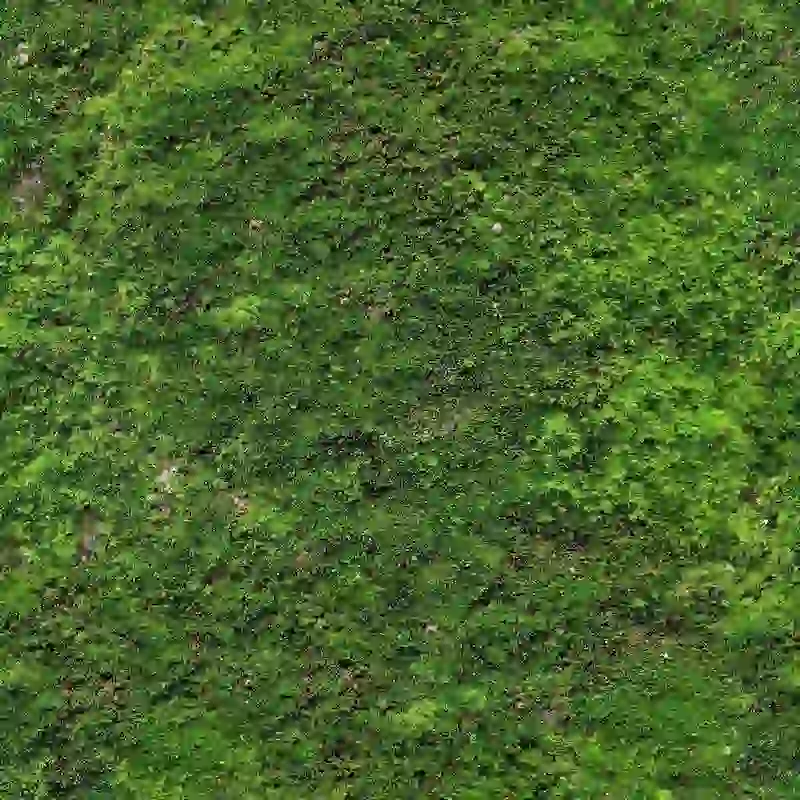 Natural Grass Lawn 4k Seamless Texture for Architectural Visualization and Landscape Design