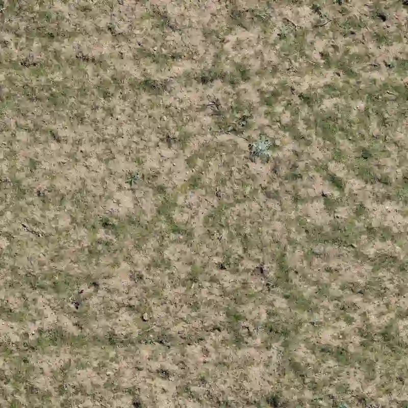 Natural Green Brown Grass Patch 4k Seamless Texture for Architectural Landscaping and 3D Visualization