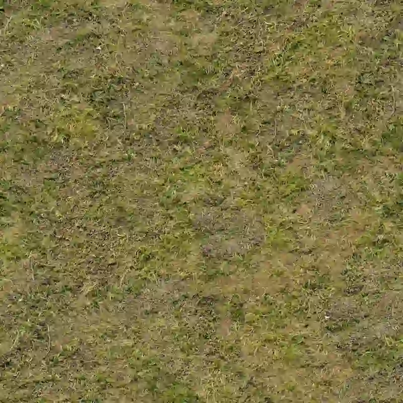 Natürliche realistische Rasenfläche 4K nahtlose Textur für Architekturvisualisierung und 3D-Modellierung