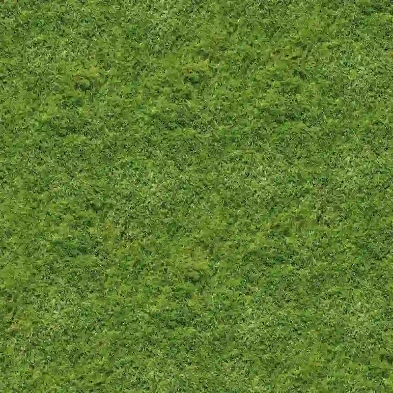 Vibrant Green Lawn Grass 4k Seamless Texture for Architectural and Landscape 3D Modeling