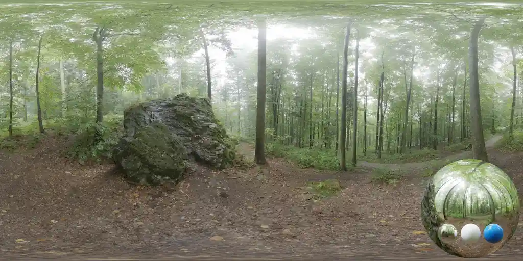 free misty-daytime-forest-hdris