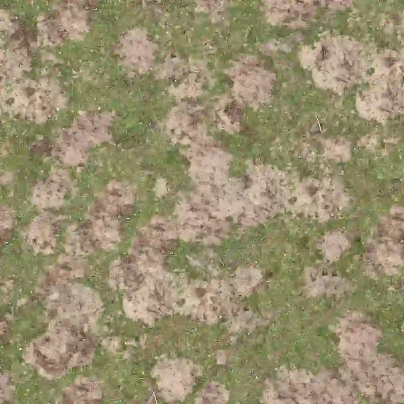 natural green grass patchy lawn 4k texture for architectural visualization and 3d landscaping