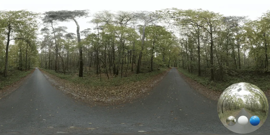 A road forest autumn hdri showing trees and natural woodland ground with balanced natural light for environment lighting and 3D rendering.