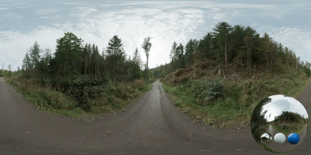 A road forest clearing hdri showing trees and natural woodland ground with clear direct daylight for environment lighting and 3D rendering.